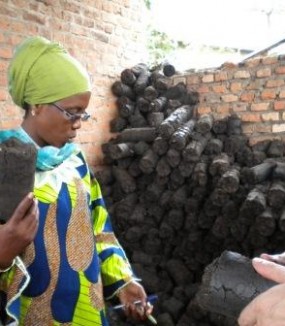 Appui à la création d’une filière de production d’un combustible vert (briquette). Rwanda